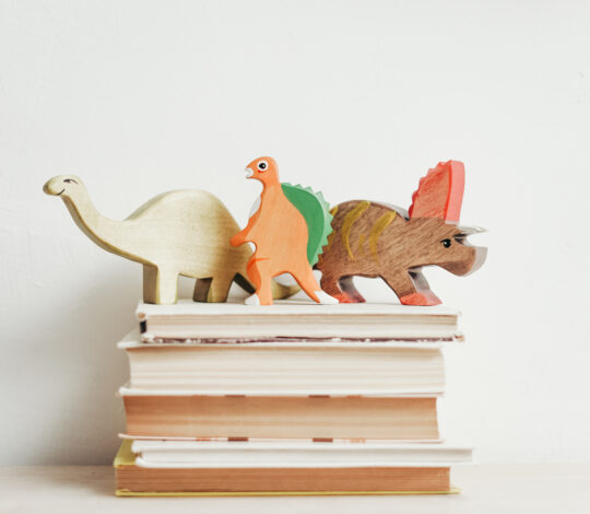 Three colorful wooden dinosaur toys are arranged on top of a stack of books against a plain white background.